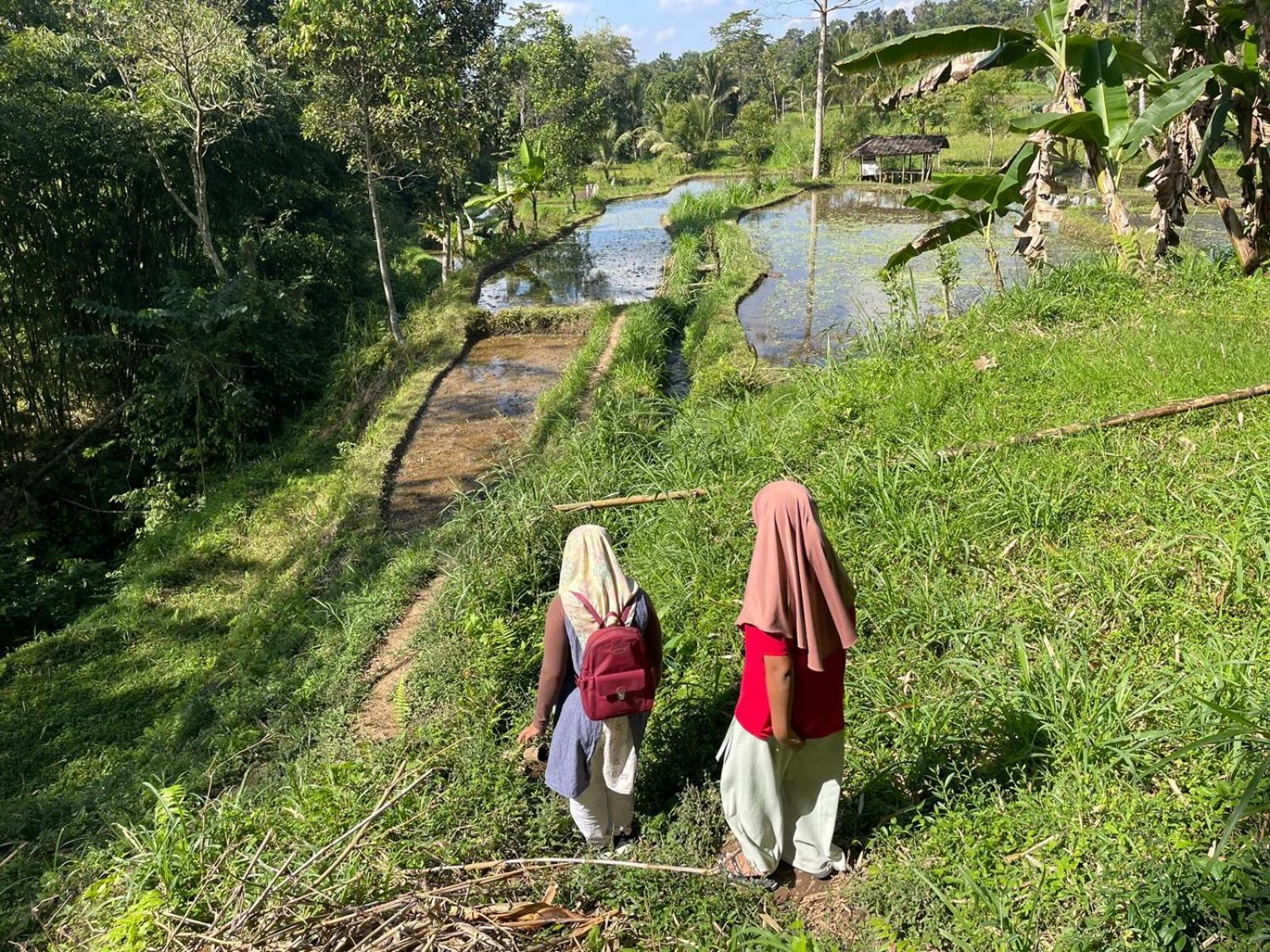 Tetebatu Terrace Homestay Exteriér fotografie