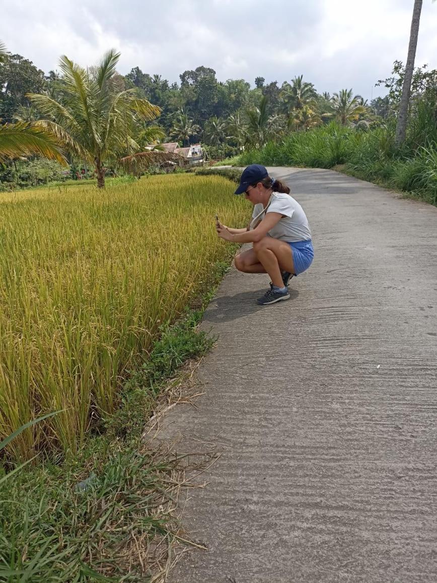 Tetebatu Terrace Homestay Exteriér fotografie